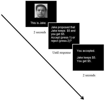 Enhanced Memory for Fair-Related Faces and the Role of Trait Anxiety